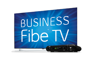 Bell Fibe TV for Business